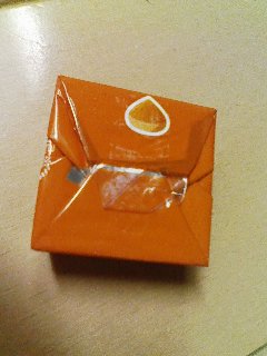 桃栗三年柿八年の栗2